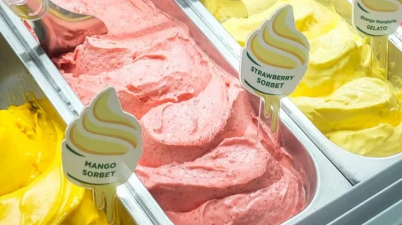 Perbedaan Gelato Vegan vs Gelato Biasa: Mana yang Lebih Baik?